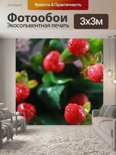 Фотообои Ягода