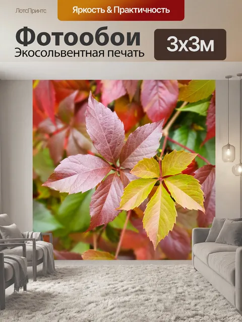 Фотообои Красочные осенние листья