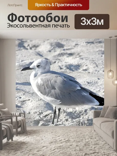 Фотообои Птица
