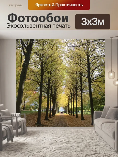 Фотообои Лес