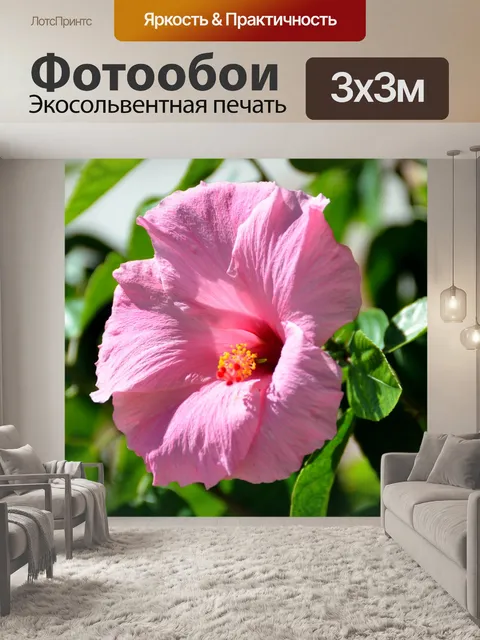 Фотообои Розовый цветок гибискуса