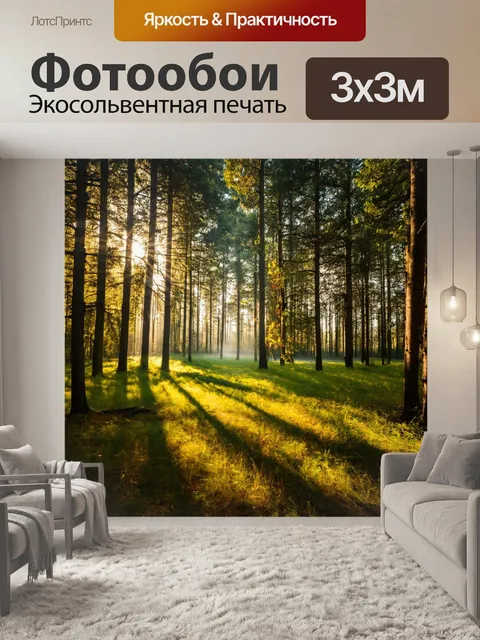 Фотообои лес в стиле минимализм, маленькая просека между деревьями, солнечные лучи пробиваются, игра света и тени