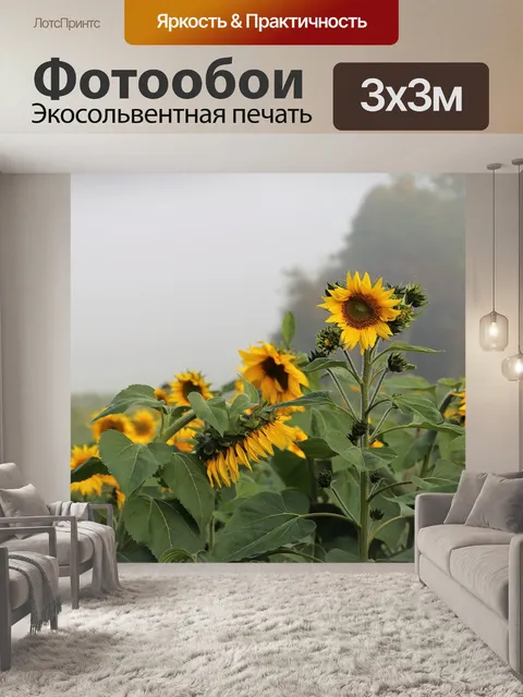 Фотообои Подсолнухи