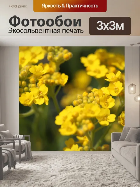 Фотообои Золотой лак