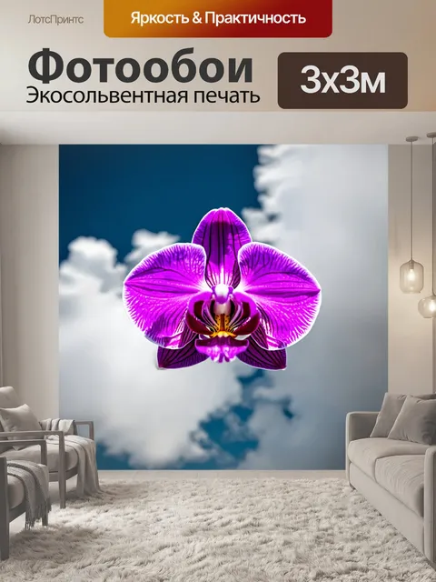 Фотообои орхидея, находящаяся в невесомом состоянии среди легких облаков