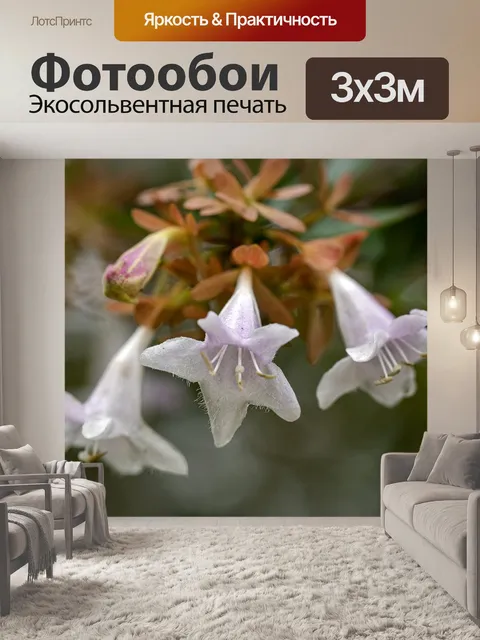 Фотообои Цветы