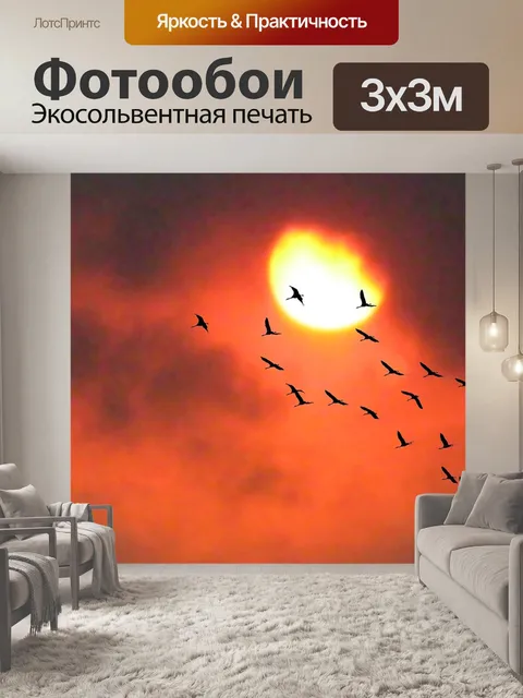 Фотообои Запад