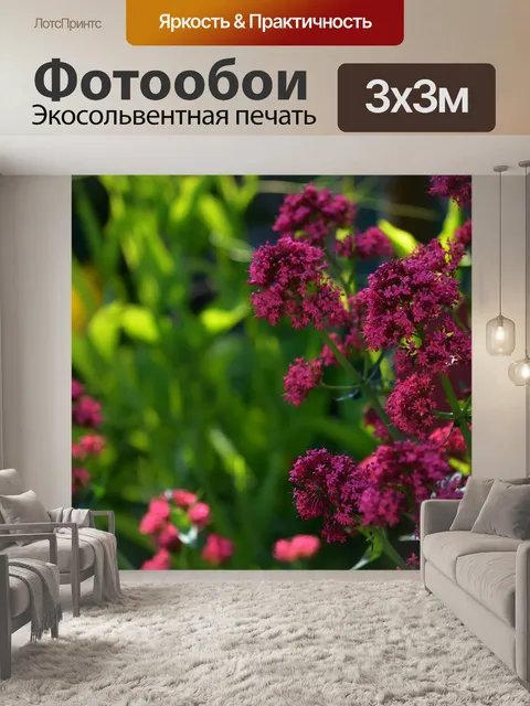 Фотообои Цветы