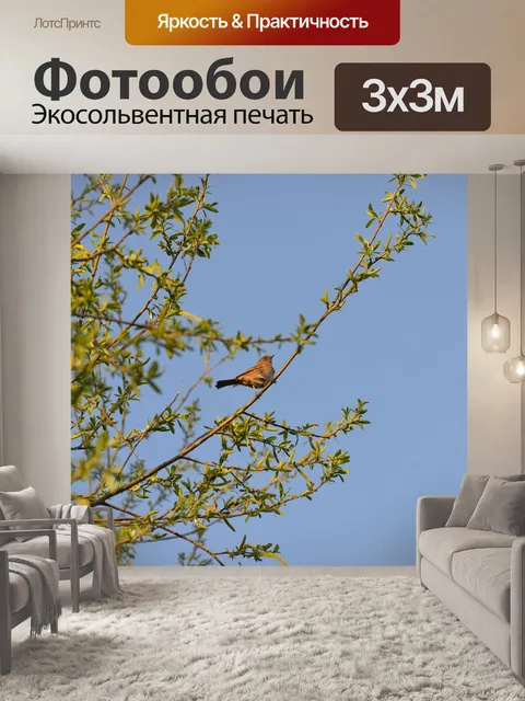 Фотообои Птица