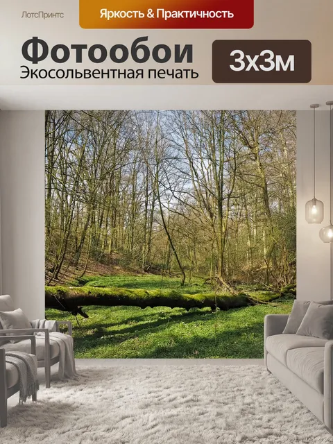 Фотообои Лес