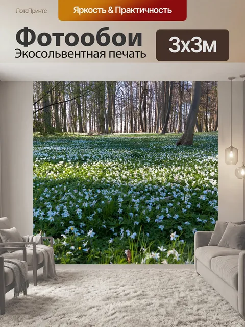 Фотообои Древесные анемоны