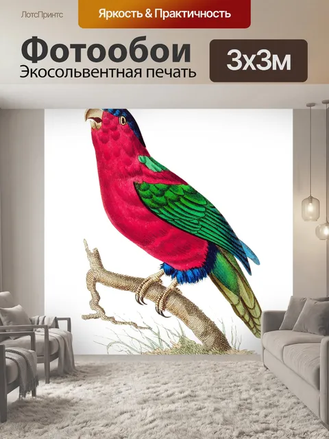 Фотообои Птицы тропических старинных искусства