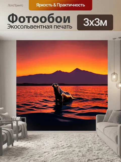 Фотообои в яркий закат тюлень выплывает на поверхность воды