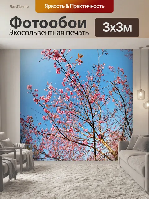 Фотообои Prunus cerasoides, дикая гималайская виш