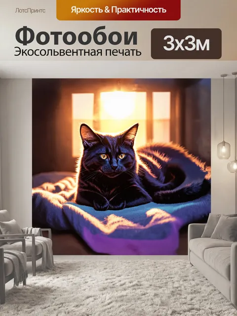 Фотообои черный кот, уютно свернувшийся на одеяле, окружённый мягким светом теплого заката