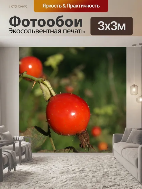 Фотообои Природа