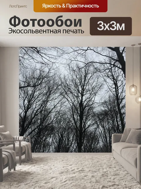 Фотообои Деревья