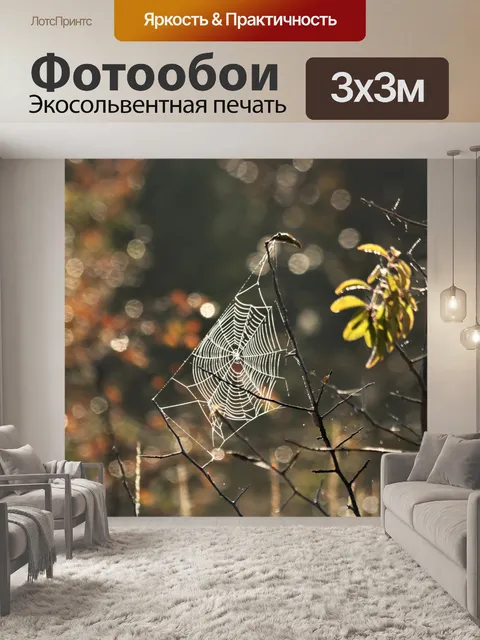 Фотообои Сверкающая паутина и боке