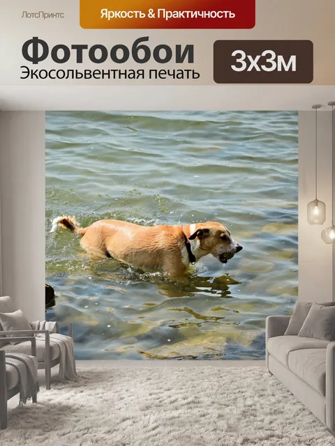 Фотообои Собаки
