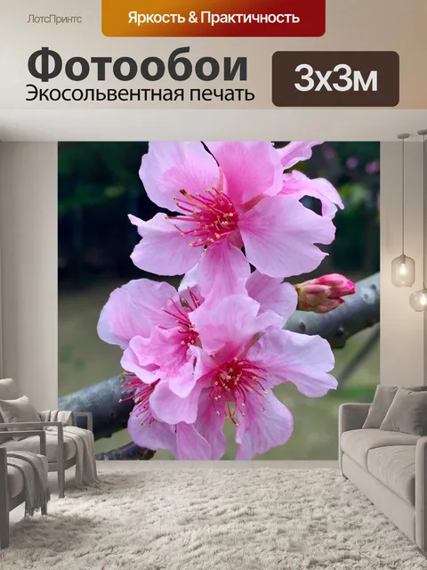 Фотообои Цветок цветы