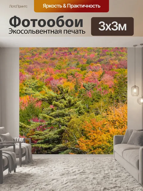 Фотообои Дерево навесы осенью