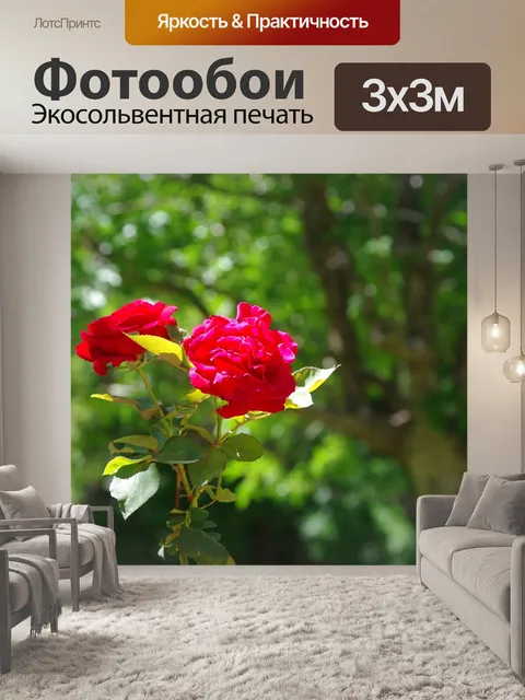 Фотообои Цветы