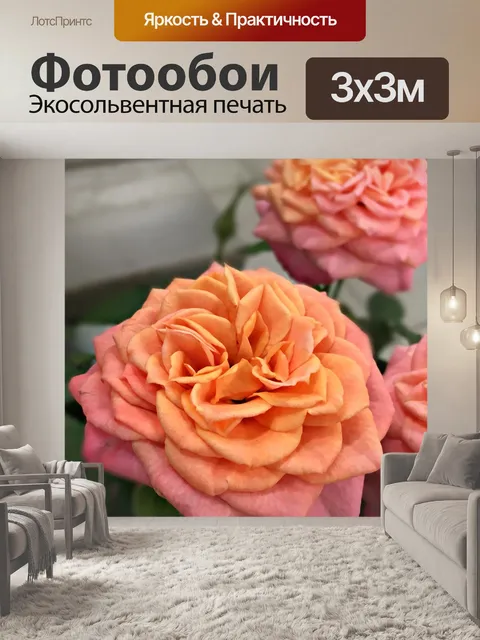 Фотообои Персиковые розы