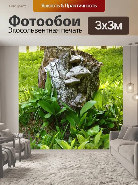 Фотообои Лес