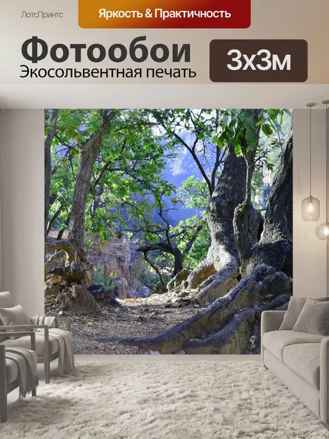 Фотообои Деревья и лес 23