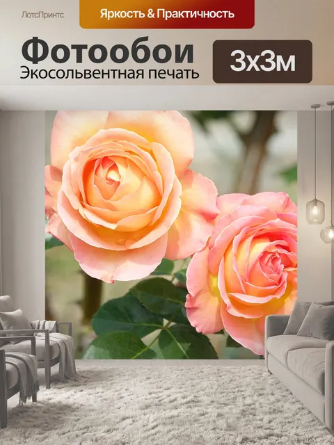 Фотообои Розы