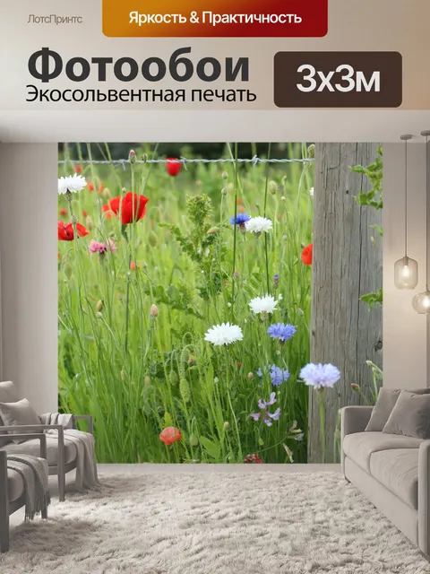 Фотообои Красочные Полевые цветы Красные маки