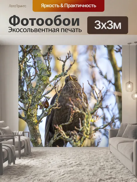 Фотообои Женская черная птица