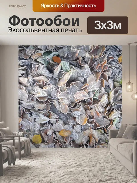 Фотообои Фрост