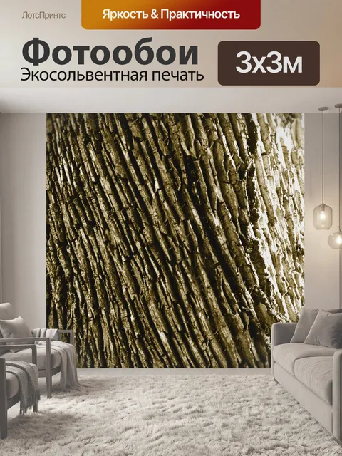 Фотообои Кора дерева Study II