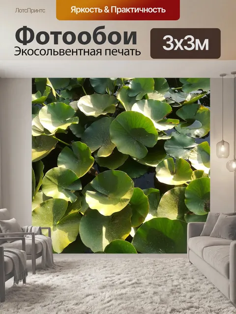 Фотообои Листья