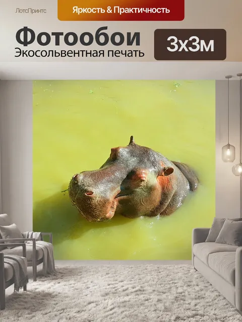 Фотообои Бегемот