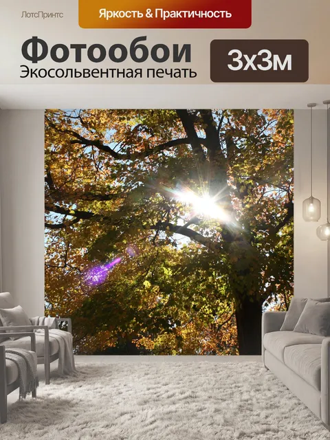 Фотообои Свет
