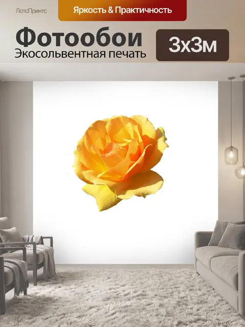 Фотообои Природа