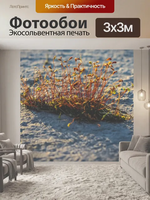 Фотообои Макрос