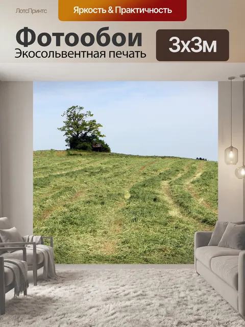 Фотообои Хилл