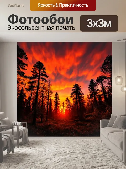 Фотообои лес с солнечным закатом, окрашивающим небо в красные и оранжевые тона
