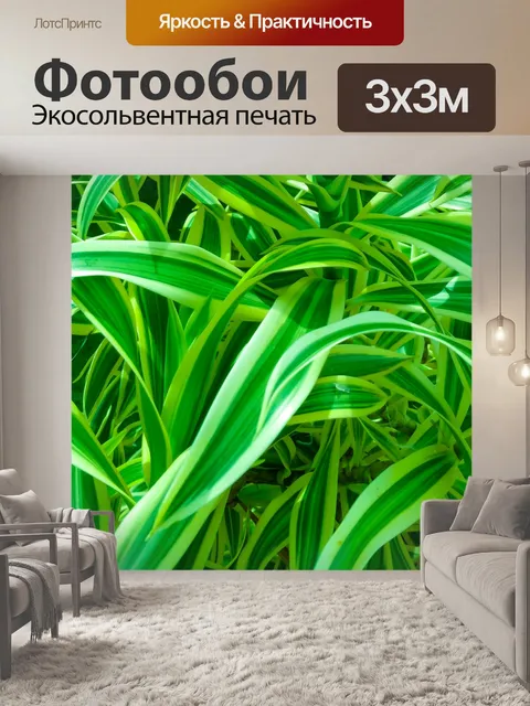 Фотообои Тонкие зеленые листья