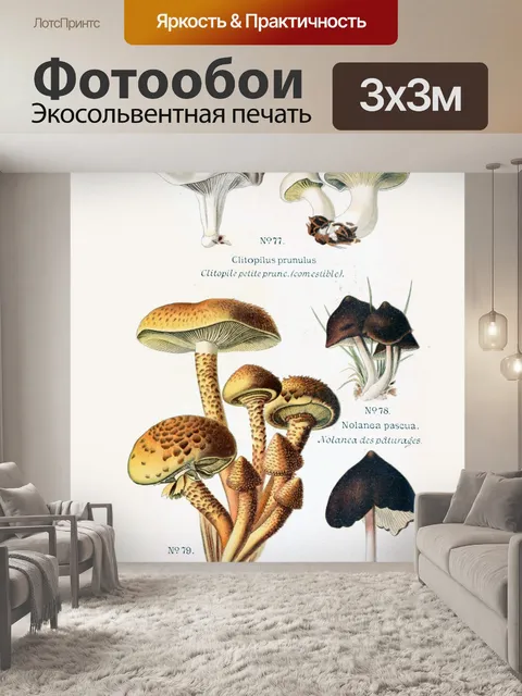Фотообои Грибы винтаж арт старый