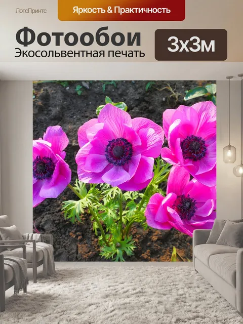Фотообои Анемоны