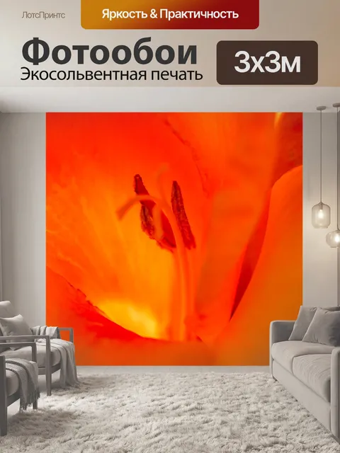 Фотообои Гладиолусы