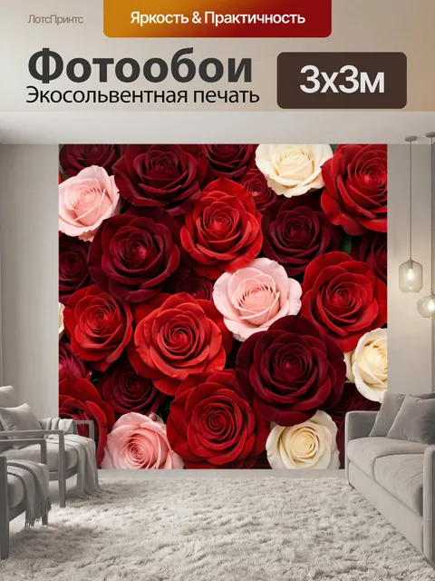 Фотообои Розы в красно-кремовой гамме
