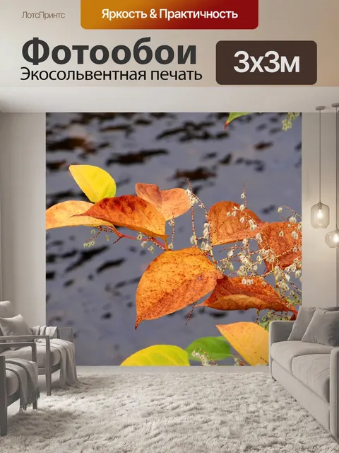 Фотообои Осенние листья