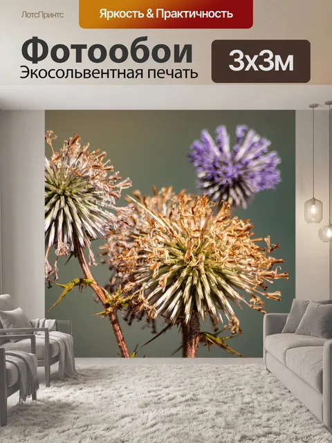 Фотообои Цветы