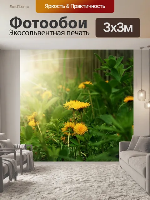 Фотообои Одуванчики