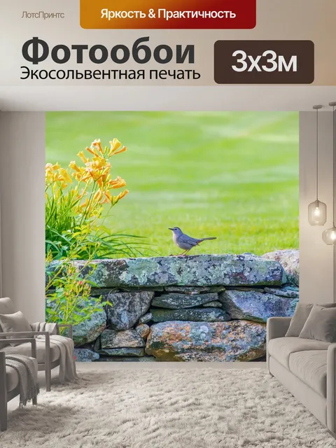 Фотообои Птицы